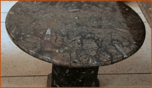 Fossils Erfoud in Morocco,marble fossils,quality products ,Achour fossils