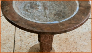 Fossils Erfoud in Morocco,marble fossils,quality products ,Achour fossils