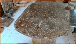 Fossils Erfoud in Morocco,marble fossils,quality products ,Achour fossils