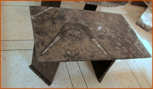 Fossils Erfoud in Morocco,marble fossils,quality products ,Achour fossils