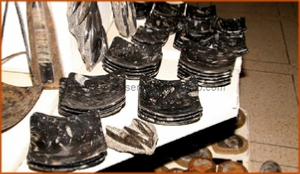 Fossils Erfoud in Morocco,marble fossils,quality products ,Achour fossils