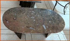 Fossils Erfoud in Morocco,marble fossils,quality products ,Achour fossils